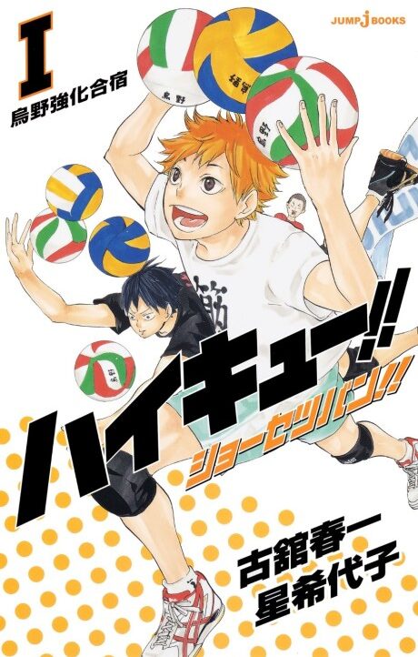 Haikyu!! ES Cover Image